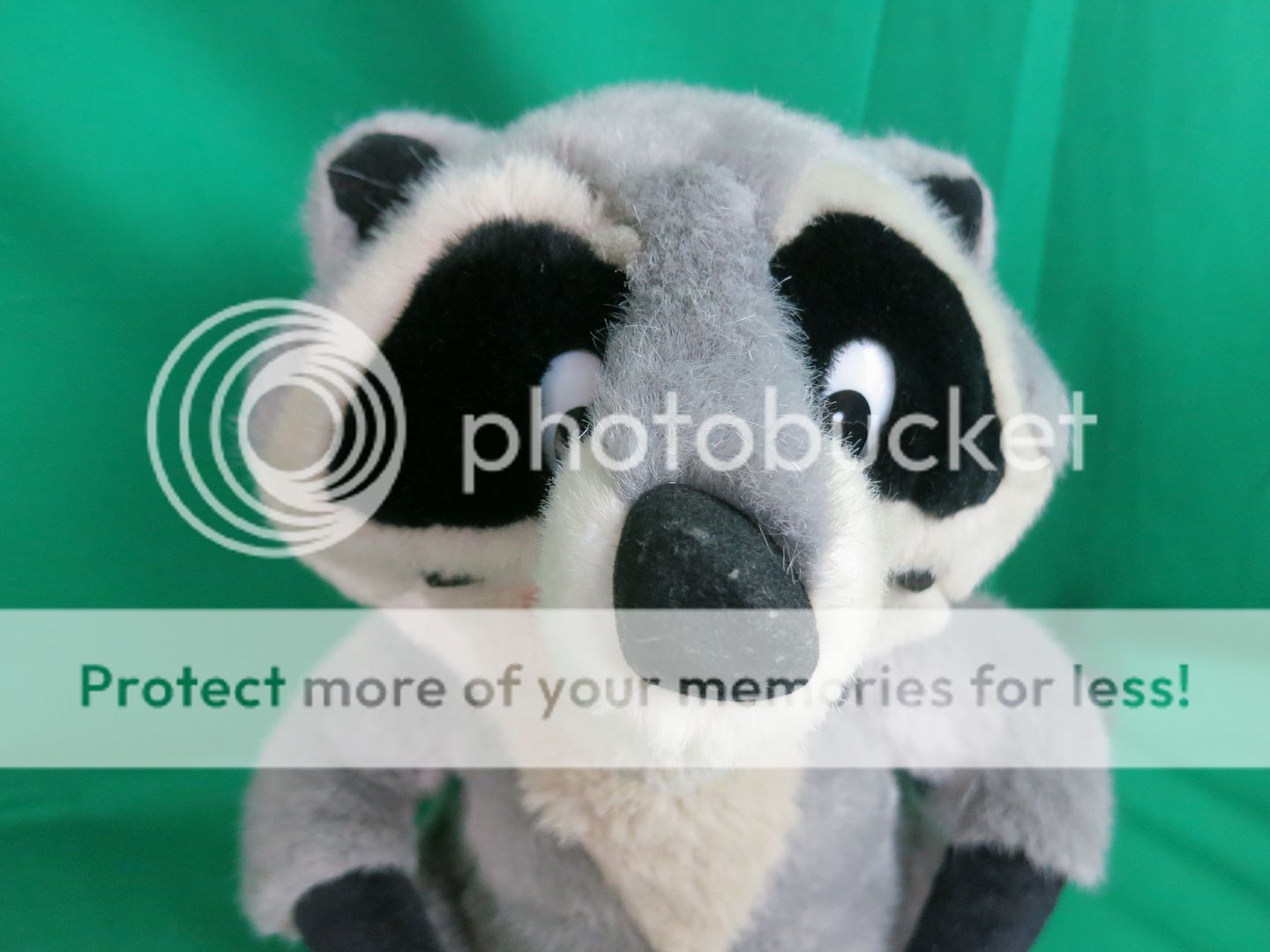 disney pocahontas exclusive 10 inch plush meeko raccoon